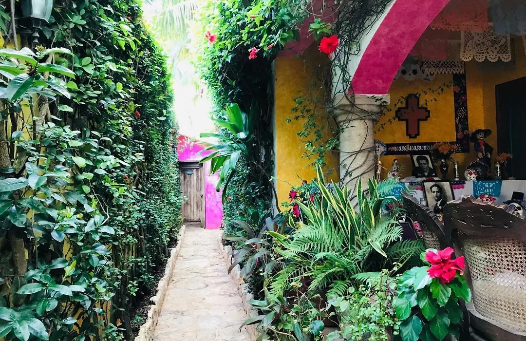 Hacienda Boutique B&B&Spa Solo Adultos-1