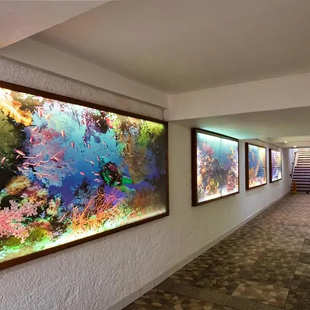 Cozumel Hotel & Resort All Inclusive-3